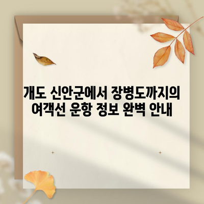 개도 신안군에서 장병도까지의 여객선 운항 정보 완벽 안내