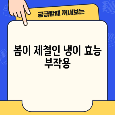 봄이 제철인 냉이 효능 부작용