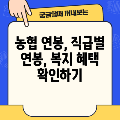 농협 연봉, 직급별 연봉, 복지 혜택 확인하기