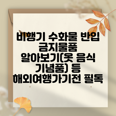 비행기 수화물 반입 금지물품 알아보기(옷 음식 기념품) 등 해외여행가기전 필독