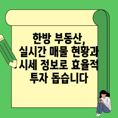 한방 부동산, 실시간 매물 현황과 시세 정보로 효율적 투자 돕습니다