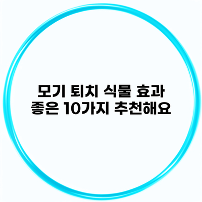 모기 퇴치 식물 효과 좋은 10가지 추천해요