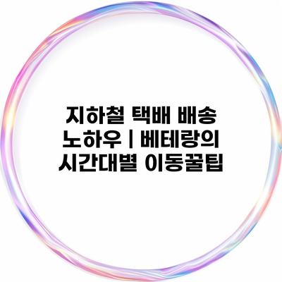 지하철 택배 배송 노하우 | 베테랑의 시간대별 이동꿀팁