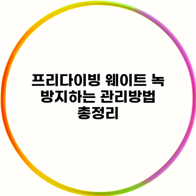 프리다이빙 웨이트 녹 방지하는 관리방법 총정리