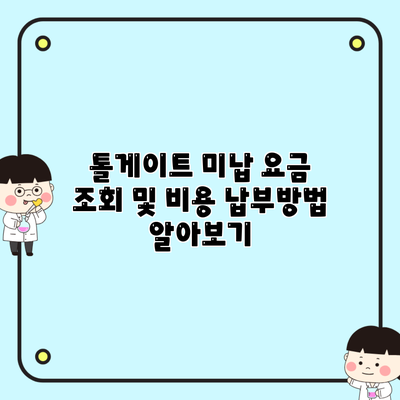 톨게이트 미납 요금 조회 및 비용 납부방법 알아보기