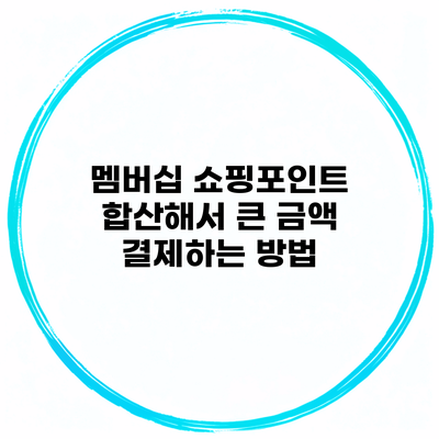 멤버십 쇼핑포인트 합산해서 큰 금액 결제하는 방법