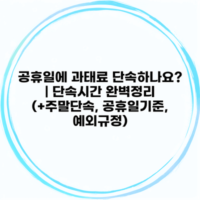 공휴일에 과태료 단속하나요? | 단속시간 완벽정리 (+주말단속, 공휴일기준, 예외규정)