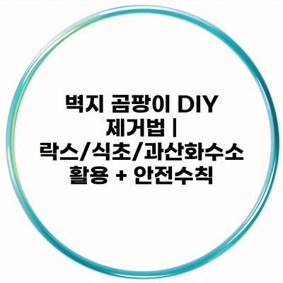 벽지 곰팡이 DIY 제거법 | 락스/식초/과산화수소 활용 + 안전수칙
