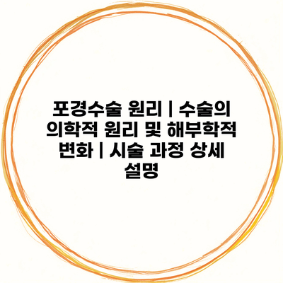 포경수술 원리 | 수술의 의학적 원리 및 해부학적 변화 | 시술 과정 상세 설명