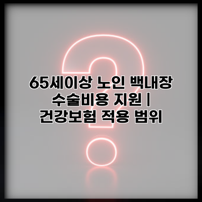 65세이상 노인 백내장 수술비용 지원 | 건강보험 적용 범위