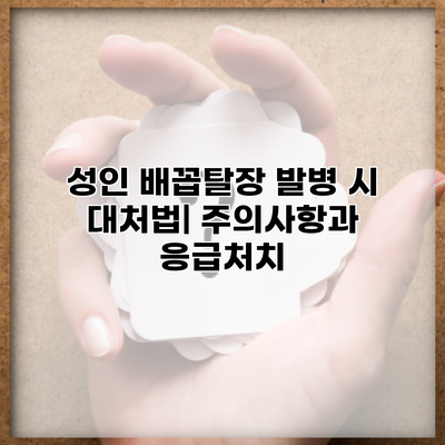 성인 배꼽탈장 발병 시 대처법| 주의사항과 응급처치
