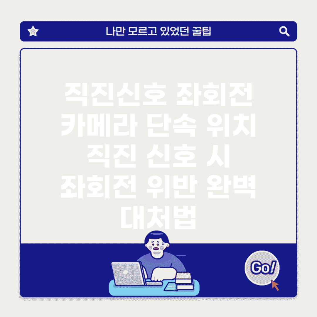 직진신호 좌회전 카메라 단속 위치 | 직진 신호 시 좌회전 위반 완벽 대처법