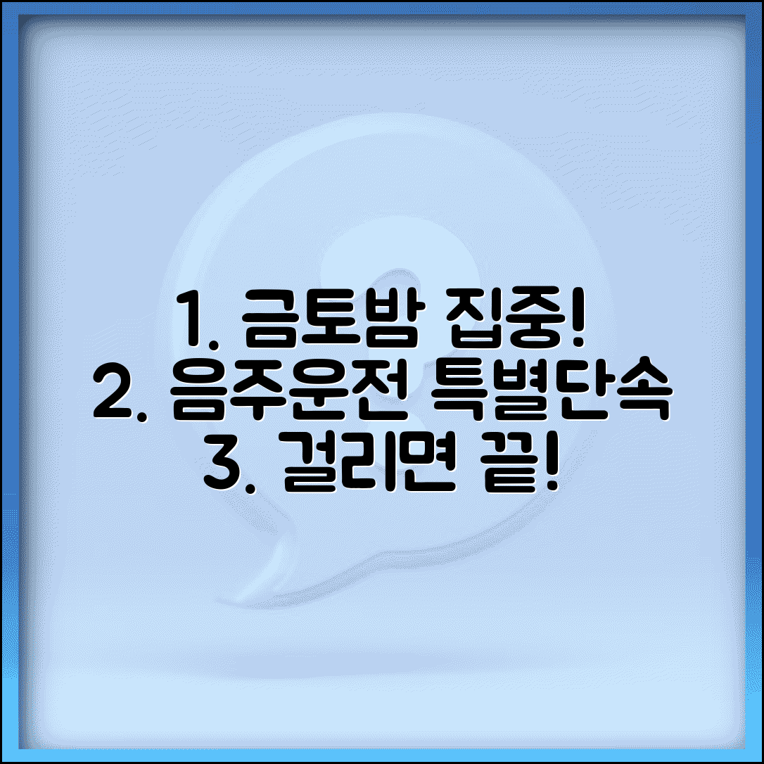 음주운전 단속 시간대 집중 | 금요일 토요일 밤 시간대 음주운전 특별 단속 운영
