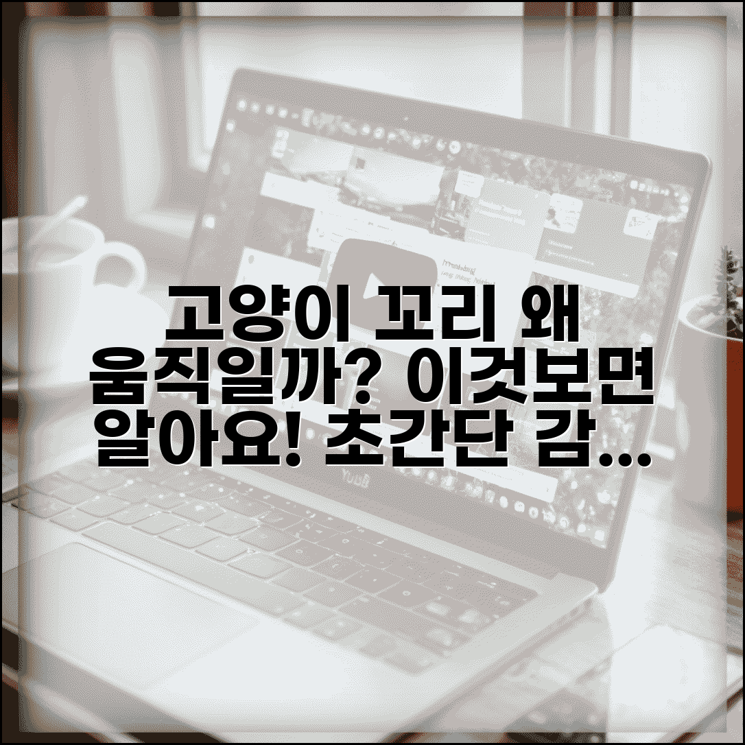 고양이 꼬리 끝이 계속 움직이는 이유가 뭔가요 | 고양이 꼬리 | 감정표현 | 흥분