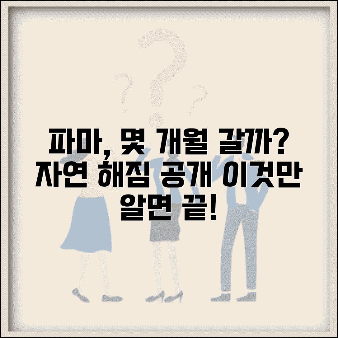 파마 풀리는데 몇 개월 걸리는지 | 파마 지속 기간과 자연 해짐