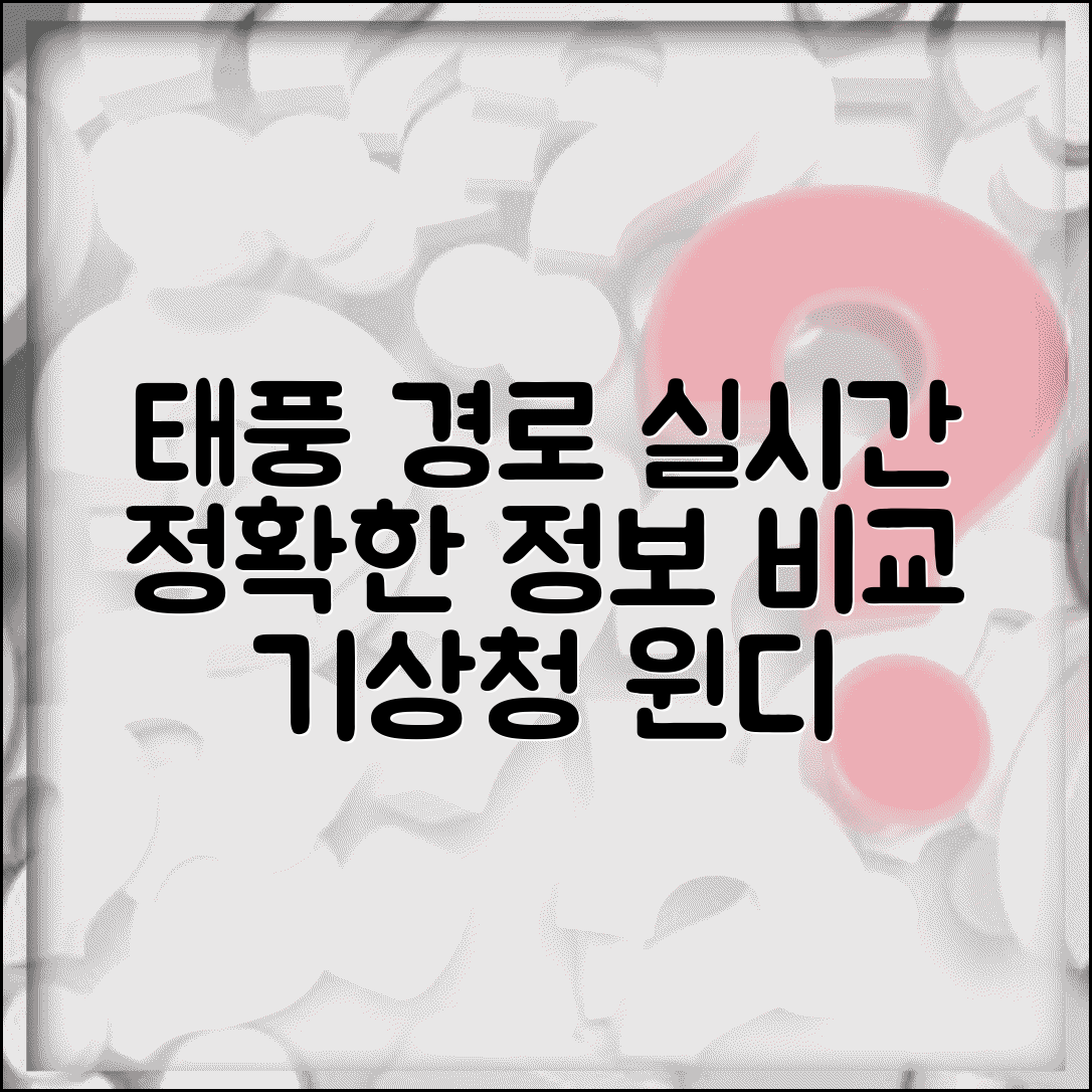 실시간 태풍 경로 확인 방법 | 기상청, 윈디 등 정확한 정보와 사이트 비교